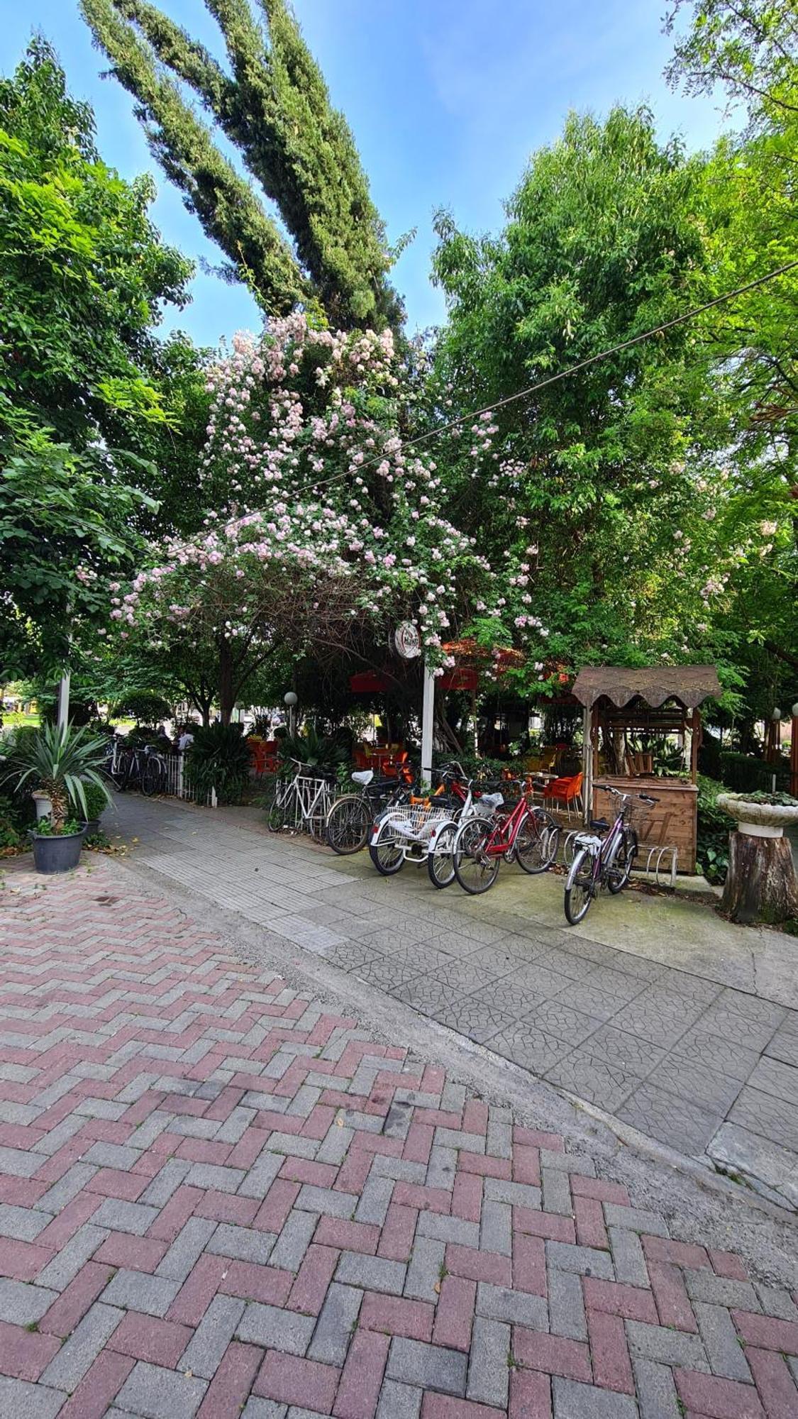 Dei Cozy Apartment Шкодер Экстерьер фото